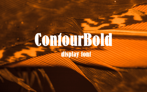 Contour Bold: A Strategic Asset for High-Impact Branding