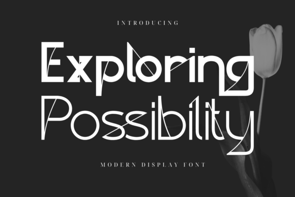 Redefining Digital Elegance with Exploring Possibility